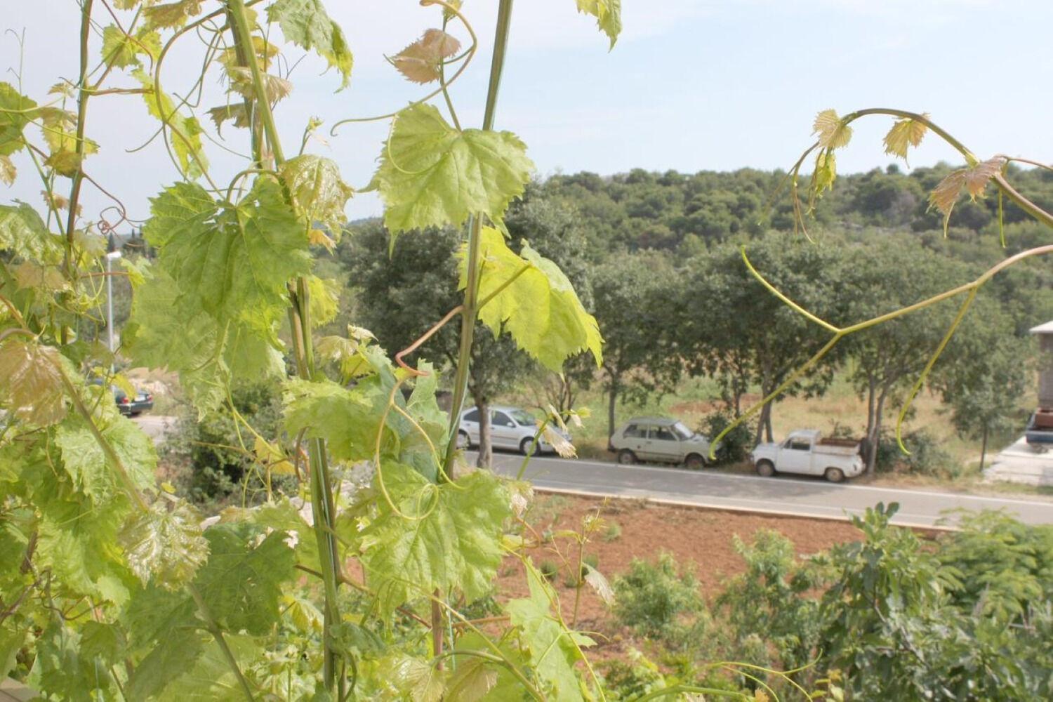 Apartments Slavica - Free Parking Jezera Kültér fotó